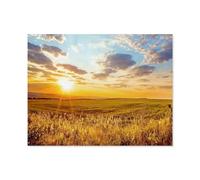 Région de Saratov, Russie: Aurore dorée sur des Champs sans Fin，Bricolage 1000 Pièces Jigsaw Puzzles Éducatif Intellectuel Jouet De Décompression Amusant Jeu De Famille pour Enfants（38x26cm）-P19