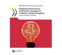 Regional Governance and Public Investment in Wales, United Kingdom