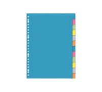 Register Kangaro Lot de 23 cartons vierges recyclés A4 220 g Lot de 12 pièces