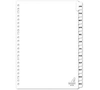 Register Kangaro Lot de 23 lettres A4 190 g 12 pièces - Blanc - Janvier