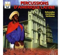 Andes : Percussions D'amerique Latine