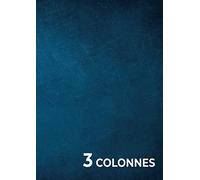 Registre 3 Colonnes: Livre de Comptes | 31 lignes par page | 100 pages