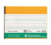 Exacompta Piqûre 30 colonnes (2 pages) – 31 lignes – 80 pages – 250 × 320 mm