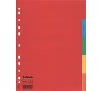 Registre A4 carton 160g/m² 5 pièces vierges colorées