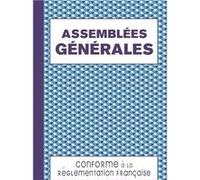 Registre Assemblées Générales Registre pour les Procès-Verbaux de Sociétés et Associations 120 Feuillets Numérotés Format A4 NLFBP Editions (Auteur)