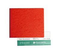Exacompta Registre comptable piqûre tête paresseuse 27x32 cm 11 colonnes 28 lignes 80 pages