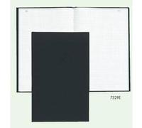 Registre Couronne Exacompta standard format vertical 35x22,5cm 5x5cm 200p folioté G
