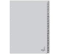 Registre Kangaro A4 Cijfers PP 120 microns. Gris 31 pièces