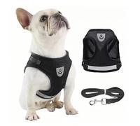 Réglable Réfléchissant Harnais et Laisse pour Chien Chat - Gilet Animaux Compagnie sans Traction, Laisse de Poitrine en Maille pour Chat Chiot (S)