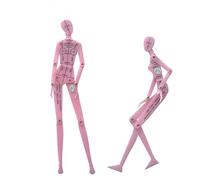 Règle, Modèle de dessin à la main dynamique du corps humain, modèle, règle, ensemble styles effet féminin