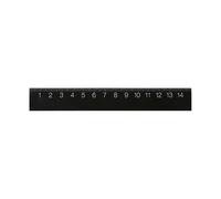 Règle noire - 15cm One Colour 15 cm