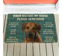 Règlement Intérieur des Chiens Ridgeback Tapis De Bain Facile À Nettoyer Paillasson Exterieur Imperméable Paillasson pour Accessoires Maison Intérieur Jardin 40 X 60Cm
