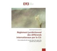 Règlement juridictionnel des différends internationaux par la CIJ: A la recherche de la paix dans les pays des grands lacs africains? - Serge David - Universitaires Europeennes - broché - Etude