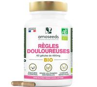 Règles Douloureuses BIO | Apaise les Douleurs Menstruelles | Avant et Pendant les règles | Framboisier, Gattilier, Achillée Millefeuille | 60 gélules de 490mg | Fabriqué en France | Qualité Supérieure