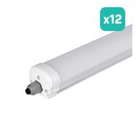 Réglette LED étanche - 120cm - 65W - IP65 - 6400K - lot de 12 - V-TAC