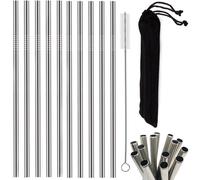Réglez 10 pailles métalliques en acier inoxydable pour une utilisation multiple + pinceau