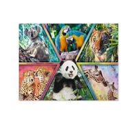 règne Animal，Puzzle, 1000 Pièces De Puzzle pour Adultes, Miracle De Puzzle Impossible, Jouet De Puzzle Éducatif pour Enfants（50x70cm）-D43
