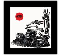 Regression: Blinding Confusion [12 Inch Analog]