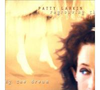 Regrooving The Dream by Patty Larkin (2000-07-25)