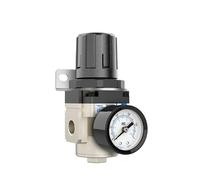 Régulateur AR2000 AR3000 AR4000 AR5000 Série AR2000-02 AR3000-03 AR4000-04/06 AR5000-06/10 Remplacer(AR4000-04BG)