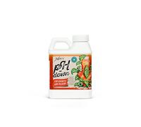 Régulateur de pH Xpert Nutrients Ph Down (250ml) - Abaisse le pH Pendant les Phases de Croissance et de fForaison, Pour Tous les Types de Substrats et Toutes les Cultures