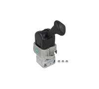 Régulateur de pression PNEUMATICS PN-10477