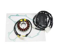 régulateur de Tension GÉNÉRATEUR DE STATOR + RÉGULATEUR Tension + Joint pour Duke 125 250 ABS 2021 2022 2023 93530040100