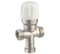 Watts Régulateur thermostatique limiteur 97009M2 25–55°C 3/4''