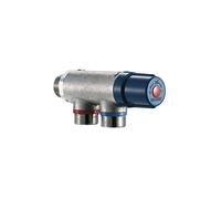 Delabie Régulateur thermostatique Premix Compact 733020 mâle 20 x 27 clapets anti-retour incorporés