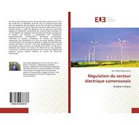 Régulation du secteur électrique camerounais: Analyse critique