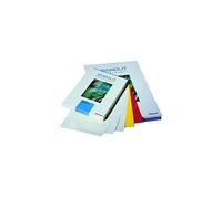 REGULUS SIGNOLIT SC 46 - Polyester - brillant - auto-adhésif - 150 micromètres - blanc - A4 (210 x 297 mm) - 190 g/m² - 100 feuille(s) film