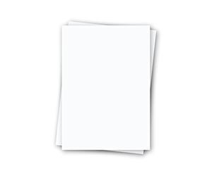 Regulus Signolit SC44-A3 Lot de 40 feuilles auto-adhésives en polyester mat A3 Blanc opaque