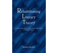 Rehabilitating Literary Theory