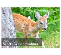 Rehe - Sanfte Waldbewohner (Wandkalender 2026 DIN A2 quer), CALVENDO Monatskalender: Ein Kalender, der die stille Schönheit der Rehe durch das Jahr einfängt.