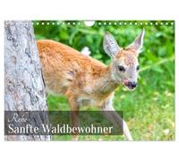 Rehe - Sanfte Waldbewohner (Wandkalender 2026 DIN A4 quer), CALVENDO Monatskalender: Ein Kalender, der die stille Schönheit der Rehe durch das Jahr einfängt.