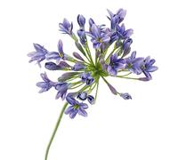 Reheyre Fleurs artificielles pour décoration extérieure, agapanthe artificielle pour mariage, maison, ferme, fête, décoration violet