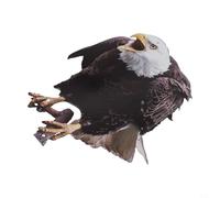 Rehoetom Faux leurre en acrylique pour contrôle des oiseaux - Épouvantail dissuasif réaliste pour jardin, terrasse et balcon - Décoration extérieure résistante aux intempéries, 22,4 x 30,5 cm (B)