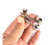 Rehoetom Lot de 10 détecteurs de touche de pêche avec pince à canne, pointe en métal pour la pêche, indicateur de frappe argenté de 4 x 3 cm pour la pêche en eau douce et en mer