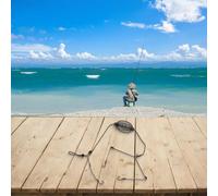 Rehoetom Mangeoire en ligne pour pêche à la carpe - Cage d'appât avec plomb, design creux pour sauver l'appât et attirer les gros poissons, ligne PE + construction métallique, 3 (50 g)