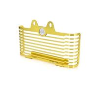REHTRWFDM Radiateurs Protection De Radiateur Moto for BMW R9T R Nine T 2021-2024 Couvercle Protection De Calandre De Refroidissement De Moteur(Gold)