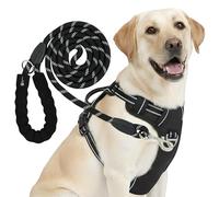 Reichstadt Pets Harnais Chien avec Laisse Anti-Traction réglable Black M | Ensemble harnais et laisse, rembourré, réfléchissant, laisse robuste, pour petits, moyens et grands chiens