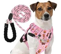 Reichstadt Pets Harnais pour Chien avec Laisse - Ensemble Harnais de Poitrine réglable Anti-Traction, réfléchissant, rembourré, Laisse Robuste, pour Petits, Moyens et Grands Chiens Puppy Pink M