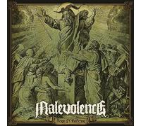 Reign Of Suffering Vinyle Vert Clair