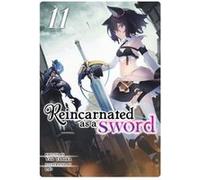 Reincarnated as a Sword Light Novel Vol. 11 by Yuu Tanaka Yuu Tanaka (Auteur)