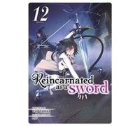 Reincarnated as a Sword Light Novel Vol. 12 by Yuu Tanaka Yuu Tanaka (Auteur)