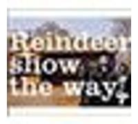 Reindeer show the way