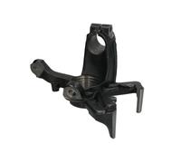 REINHOCH RH08-0009 Fusée d'essieu, suspension de roue pour AUDI,SEAT,SKODA,VW