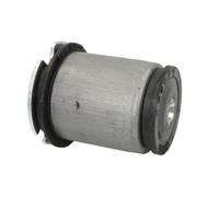 REINHOCH Silent bloc d'essieu Arrière Support d'Essieu RH20-1007