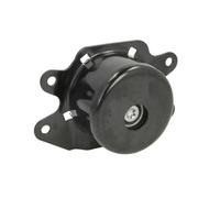 REINHOCH Support moteur Gauche Support hydraulique pour OPEL Corsa C 3/5 portes (X01) RH11-5035