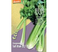 ReinSaat Céleri en Côtes "Tall Utah 52/70" - 1 sachet